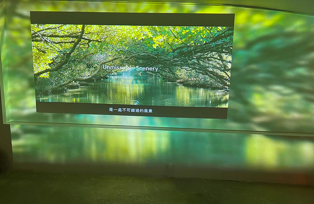 espace immersif vidéo