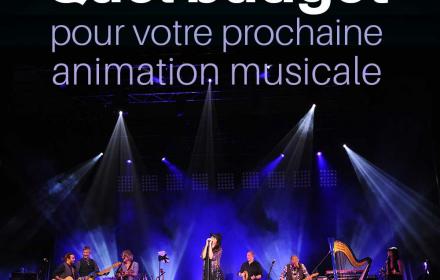 Quel budget pour l'animation musicale de votre prochain événement d'entreprise