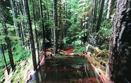 Expérience immersive : transformez vos événements grâce aux espaces immersifs