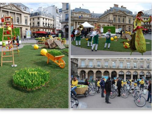 événement grand public - Collecte de dons