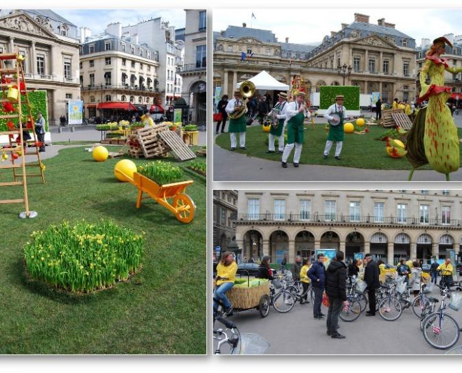 événement grand public - Collecte de dons